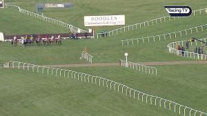 results from cheltenham|Racing Results .